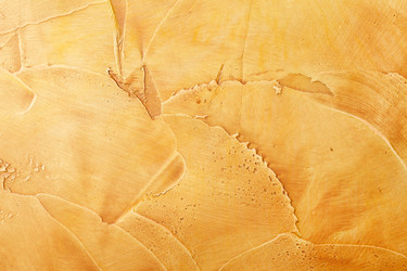 Similar image 2237080