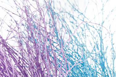 Similar image 2237092