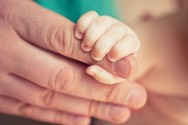 Similar image 2237109