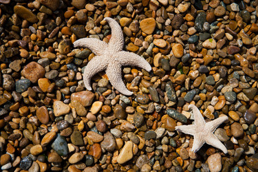 Similar image 2237125