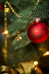 Similar image 2237143