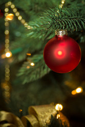 Similar image 2237147