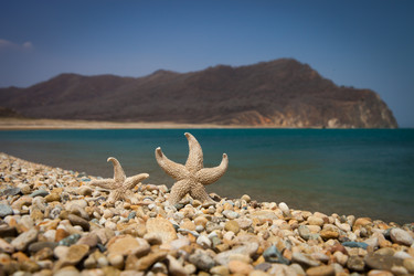 Similar image 2237149