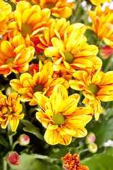 Similar image 2237242