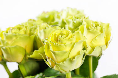 Similar image 2237249