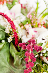 Similar image 2237300