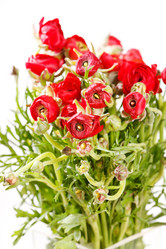 Similar image 2237302