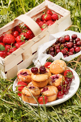 Similar image 2237303