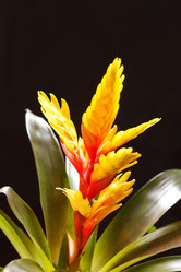 Similar image 2237305