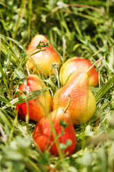 Similar image 2237306