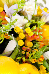 Similar image 2237328