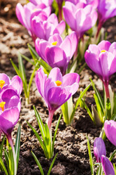 Similar image 2237329