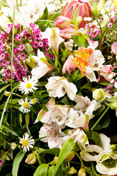 Similar image 2237333