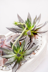 Similar image 2237344