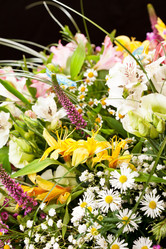 Similar image 2237345