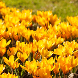 Similar image 2237413