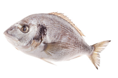 Similar image 2237425