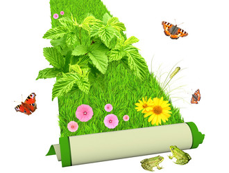 Similar image 2237527