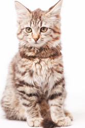 Similar image 2237559