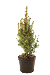 Similar image 2237575