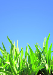 Similar image 2237600