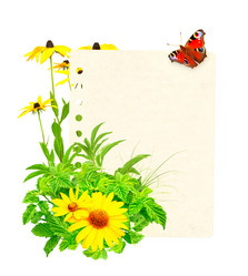 Similar image 2237611