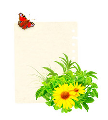 Similar image 2237613