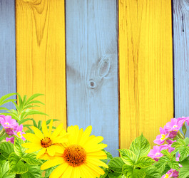 Similar image 2237655