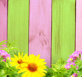 Similar image 2237659