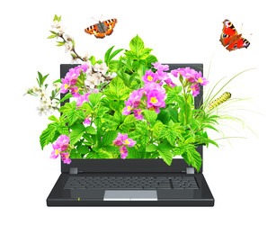 Similar image 2237672