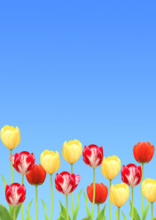 Similar image 2237676