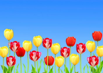 Similar image 2237678