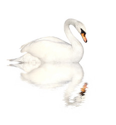 Similar image 2237728