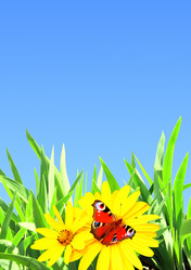 Similar image 2237731