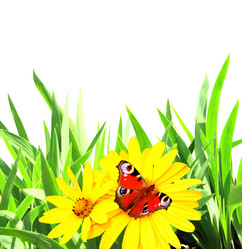 Similar image 2237734