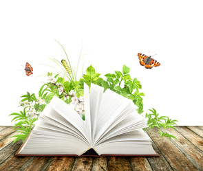 Similar image 2237737