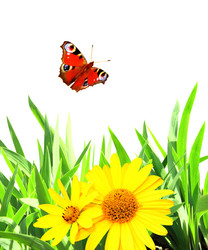 Similar image 2237743