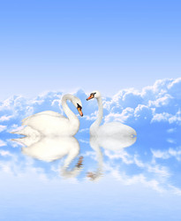 Similar image 2237759