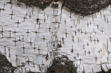 Similar image 2238797