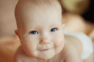 Similar image 2238846