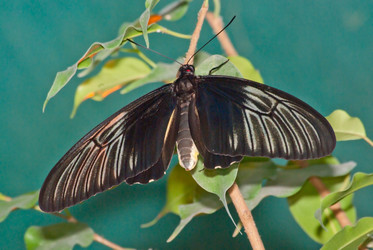 Similar image 2238896