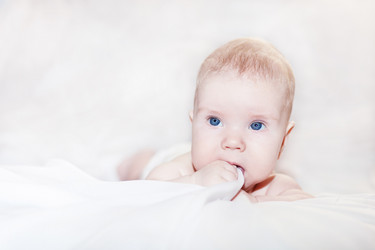 Similar image 2238902