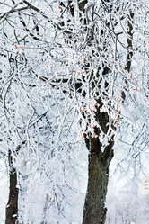 Similar image 2239966