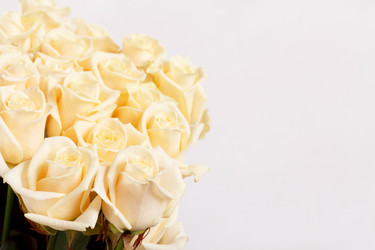 Similar image 2239968