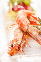 Similar image 2240050