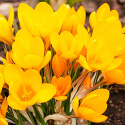 Similar image 2240063