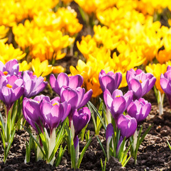 Similar image 2240064