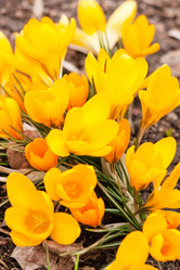 Similar image 2240292