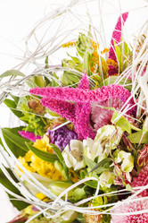 Similar image 2240431