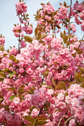 Similar image 2240574